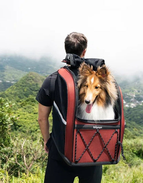 Load image into Gallery viewer, Champion Dog Carrier Backpack
