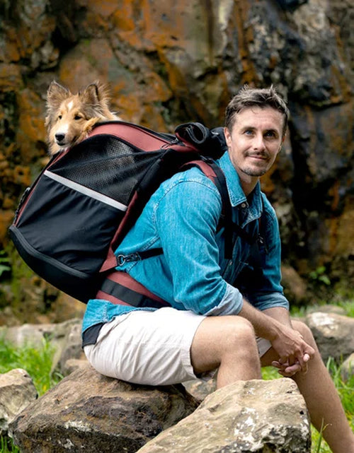 Load image into Gallery viewer, Champion Dog Carrier Backpack
