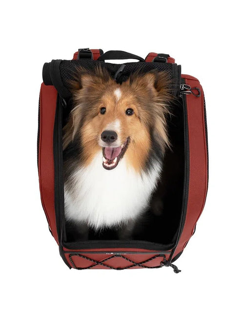 Load image into Gallery viewer, Champion Dog Carrier Backpack
