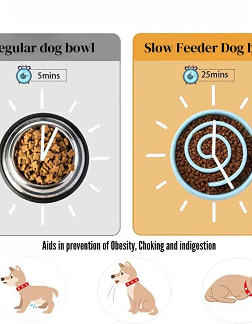 Load image into Gallery viewer, 0.8 Cups Anti-Skid Slow Feeder
