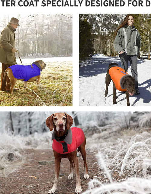 Load image into Gallery viewer, Dog Coats for Medium Dogs Jackets for Medium Dogs Pet Clothes for Medium Dog Cold Weather Coats Medium Dog Sweater Dog Apparel &amp; Accessories Dog Winter Coat Dog Snow Jacket (Red, Medium)
