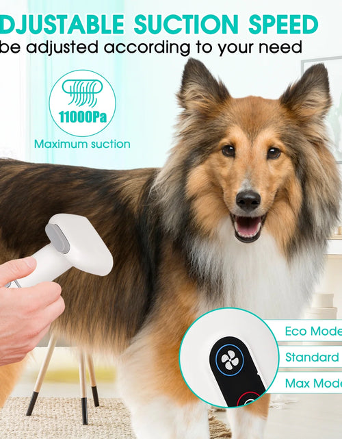 Load image into Gallery viewer, Pet Grooming Kit &amp; Vacuum, 11Kpa Low Noise Pet Groomer Vacuum Suction with 3 Suction Mode, 5 in 1 Dog Vacuum, 2.5L Dustbin for Dogs, Cats and Other Animals
